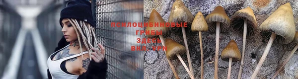 а пвп мука Алексеевка